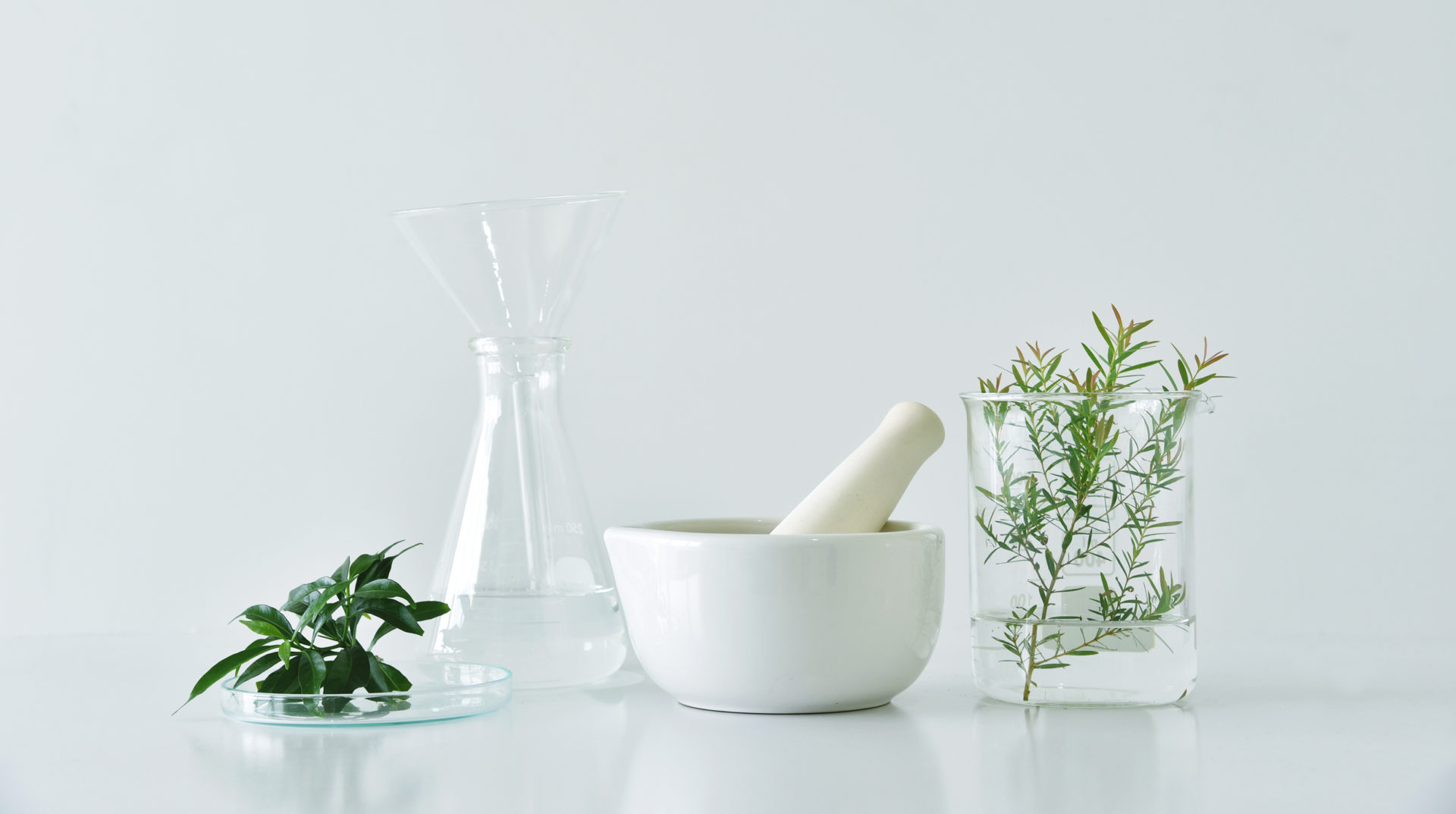 Natural,Organic,Botany,And,Scientific,Glassware,,Alternative,Herb,Medicine,,Natural
